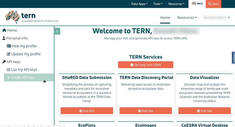 The TERN account page, with Create API key selected in the left-hand menu.
