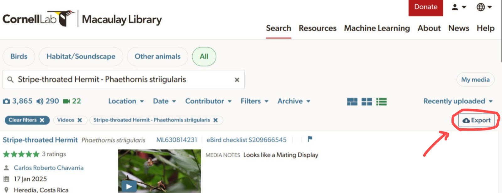 Screen shot of the Macaulay library search site showing the first result of a query for Stripe-throated hermit videos