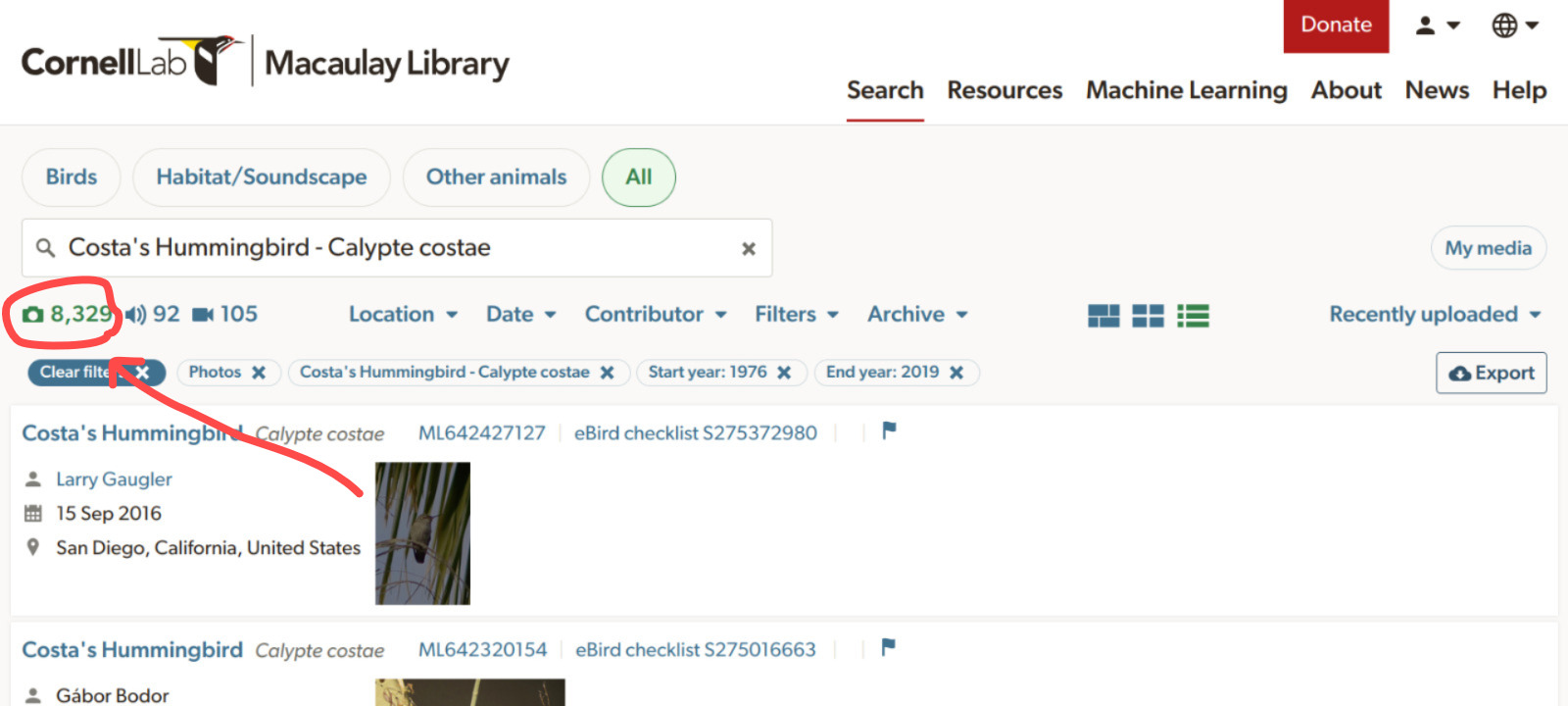 Screen shot of the Macaulay library search site showing the first result of a query for Costa's hummingbird and highlighting how to check the number of records for that query